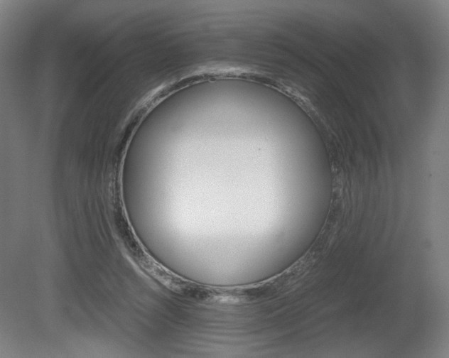 X0000080700352200612150842