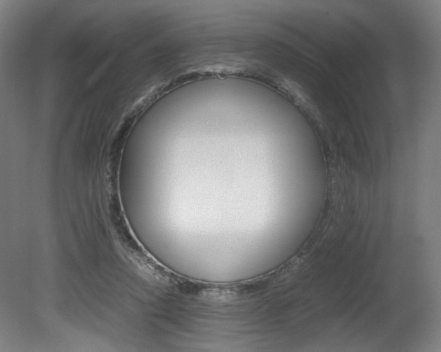 X0000080700354200612150842