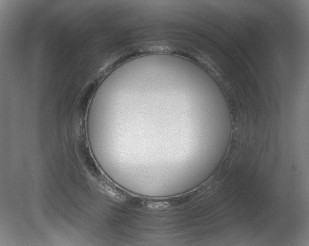 X0000080700355200612150842