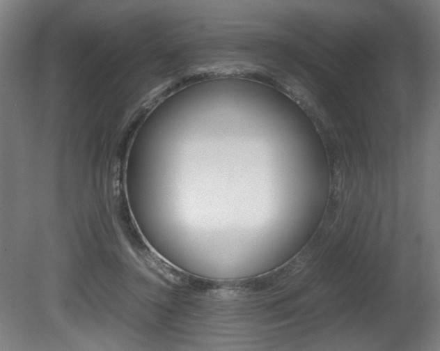 X0000080700356200612150842
