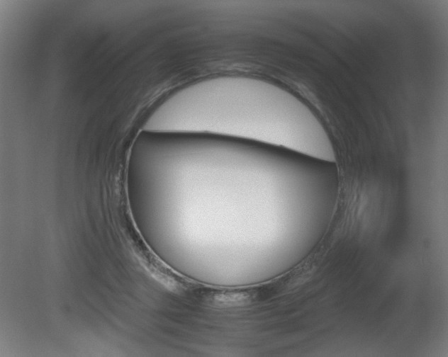 X0000080700357200612150842