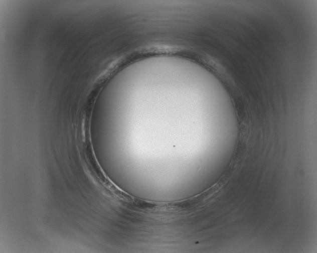 X0000080700358200612150842