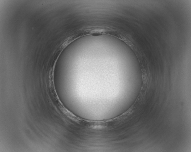 X0000080700360200612150843