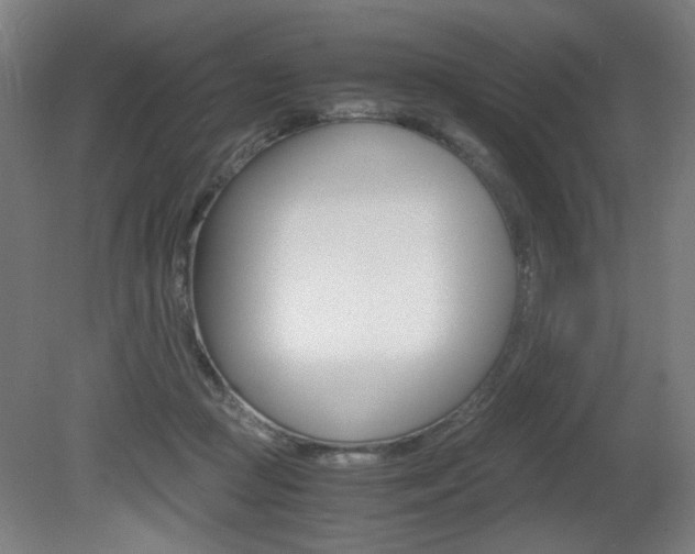 X0000080700361200612150843