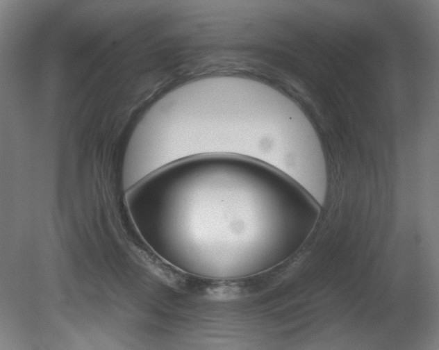 X0000080700362200612150843