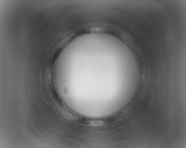 X0000080700363200612150843