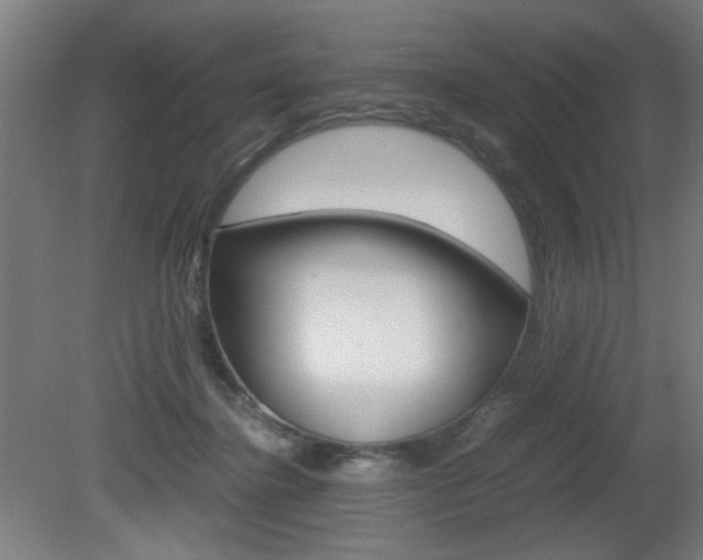 X0000080700364200612150843