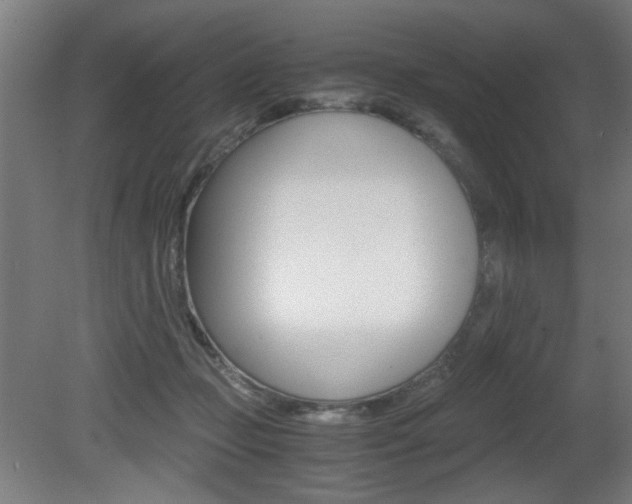 X0000080700365200612150843