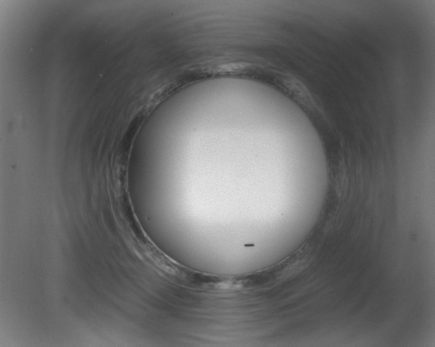 X0000080700366200612150843