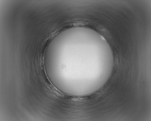 X0000080700367200612150843