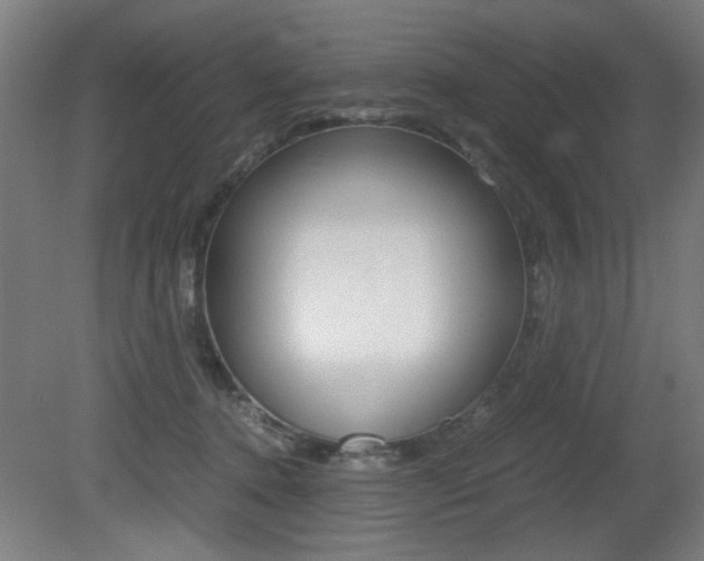 X0000080700368200612150843