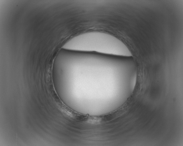 X0000080700369200612150843