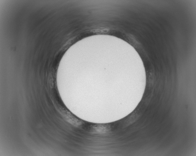 X0000080700370200612150843