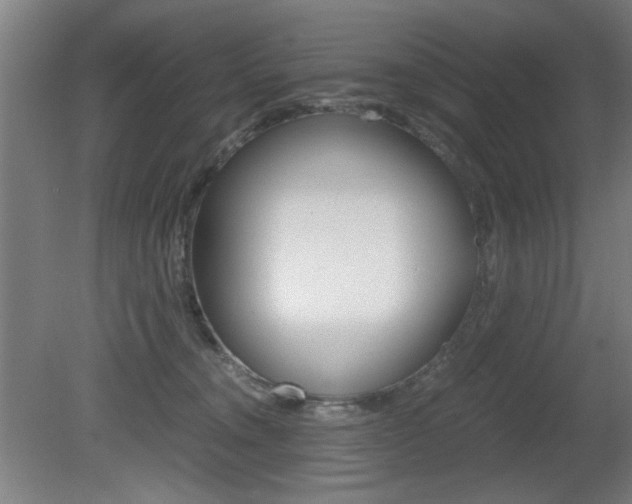 X0000080700372200612150843