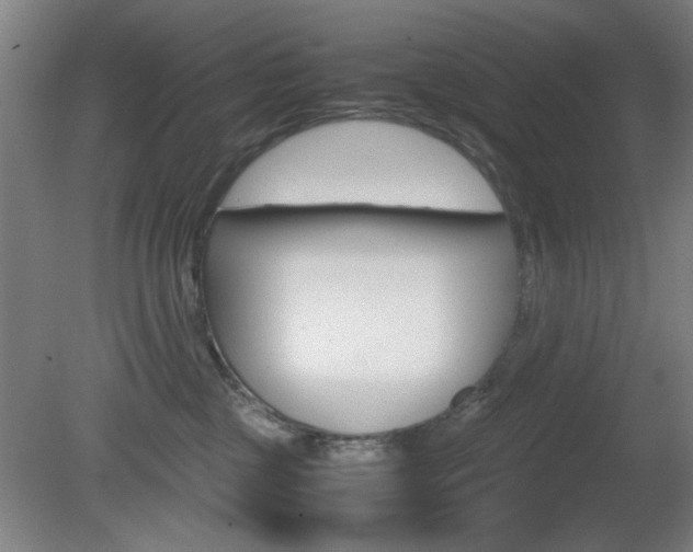 X0000080700377200612150843