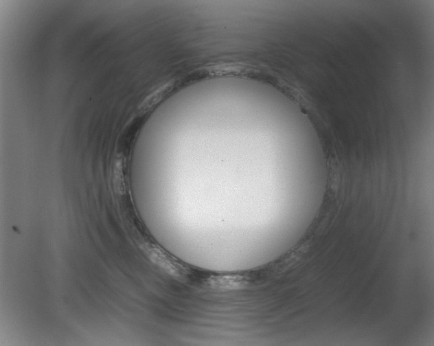 X0000080700378200612150843
