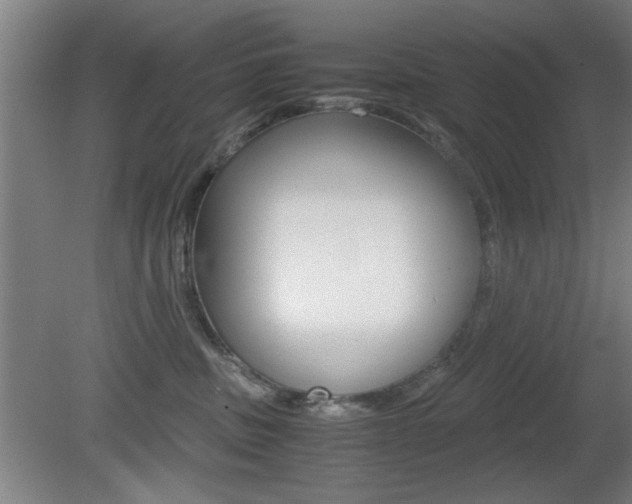 X0000080700379200612150843