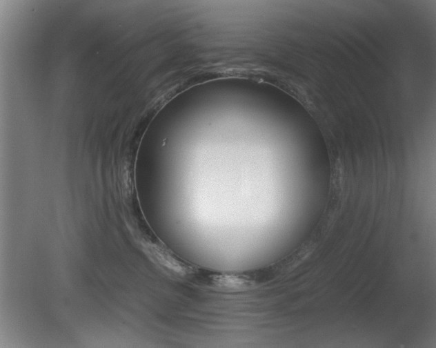 X0000080700380200612150843