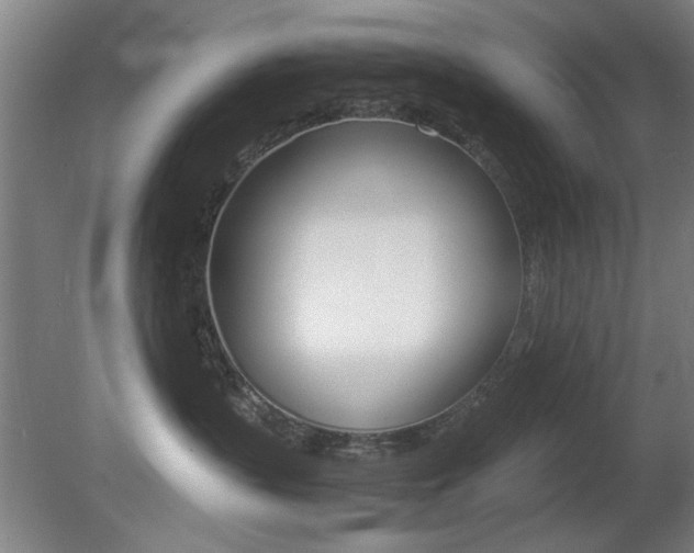 X0000080700383200612150843