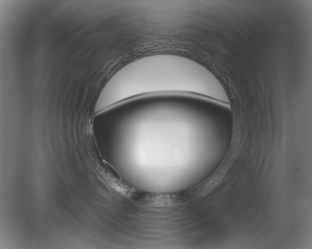 X0000080700384200612150843