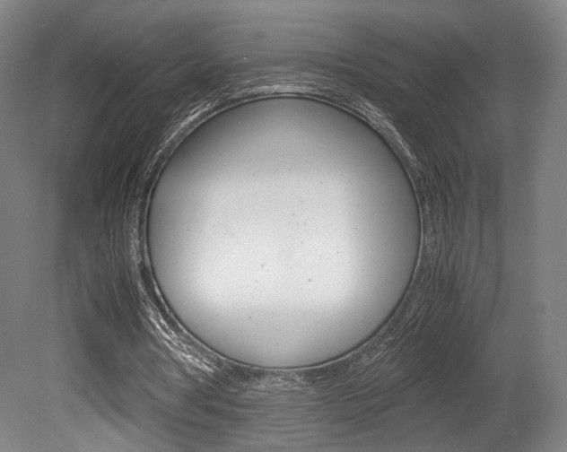X0000080700386200612150842