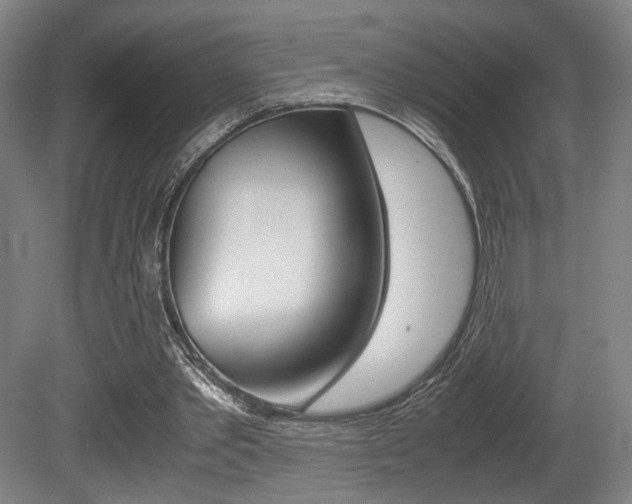 X0000080700389200612150842