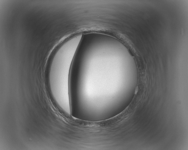X0000080700395200612150842
