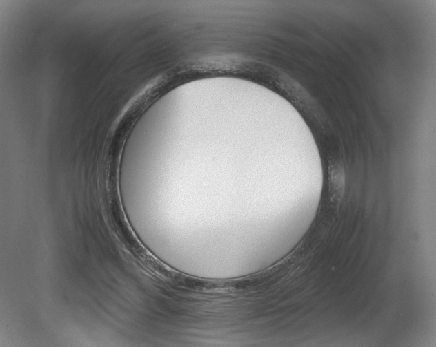 X0000080700396200612150842