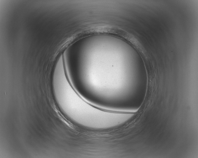 X0000080700397200612150842