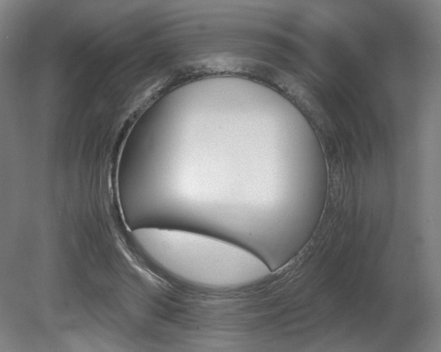 X0000080700398200612150842