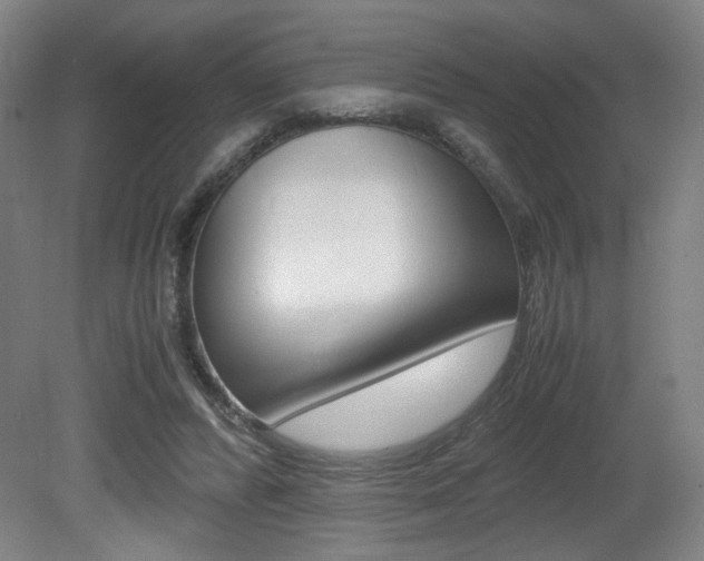 X0000080700400200612150842
