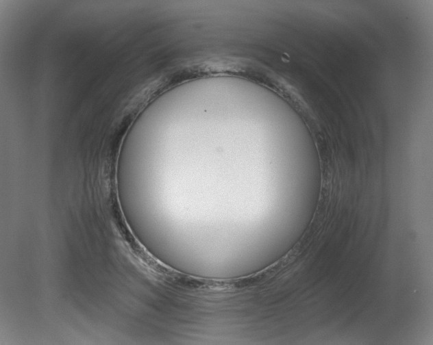 X0000080700402200612150842