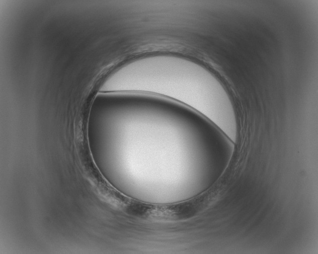 X0000080700403200612150842