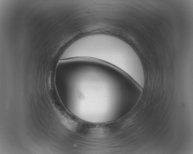 X0000080700404200612150842