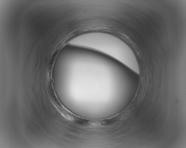 X0000080700405200612150842