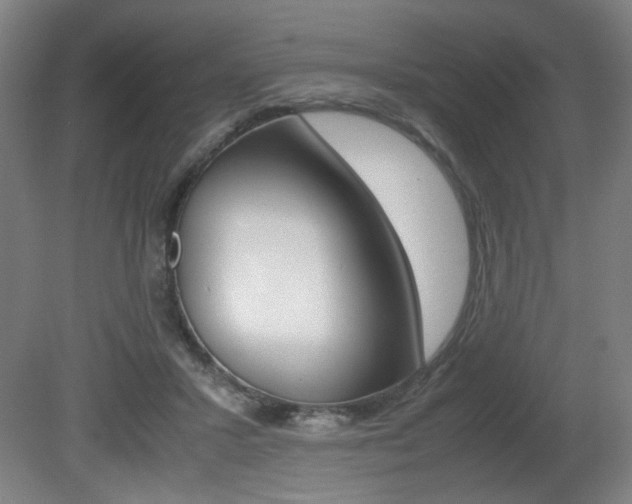 X0000080700407200612150842