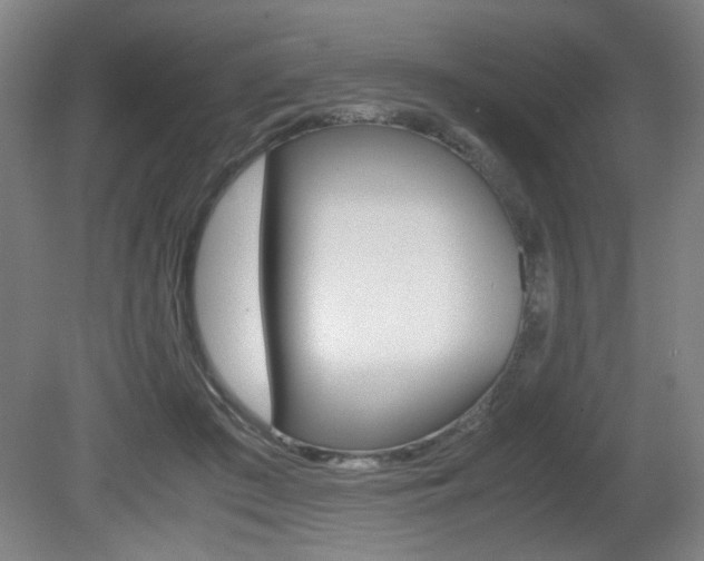 X0000080700409200612150842