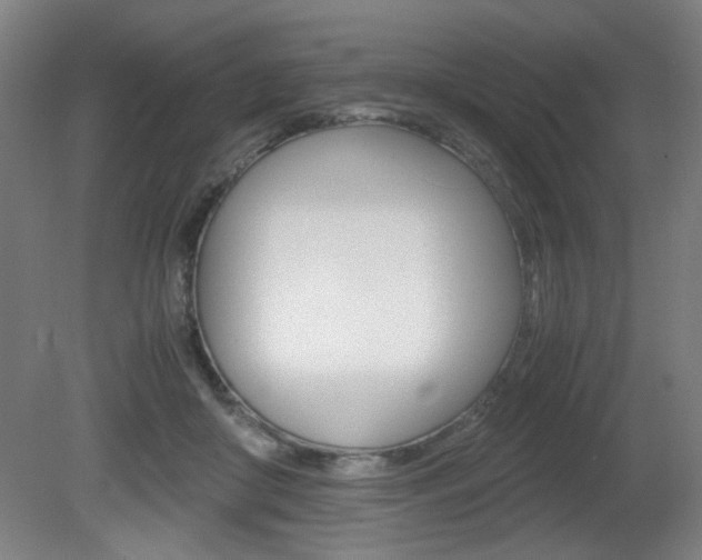 X0000080700410200612150842