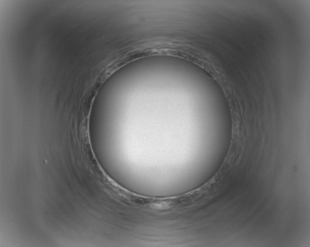 X0000080700411200612150842