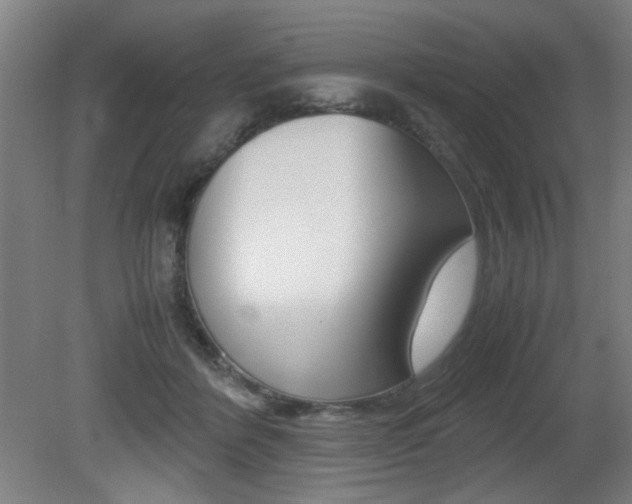 X0000080700412200612150842