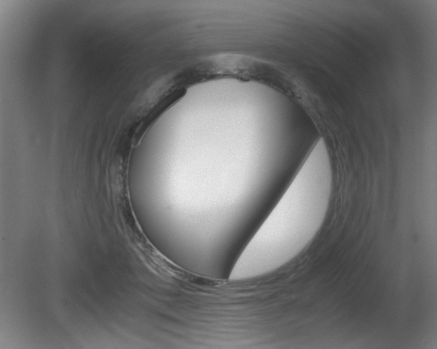 X0000080700413200612150842