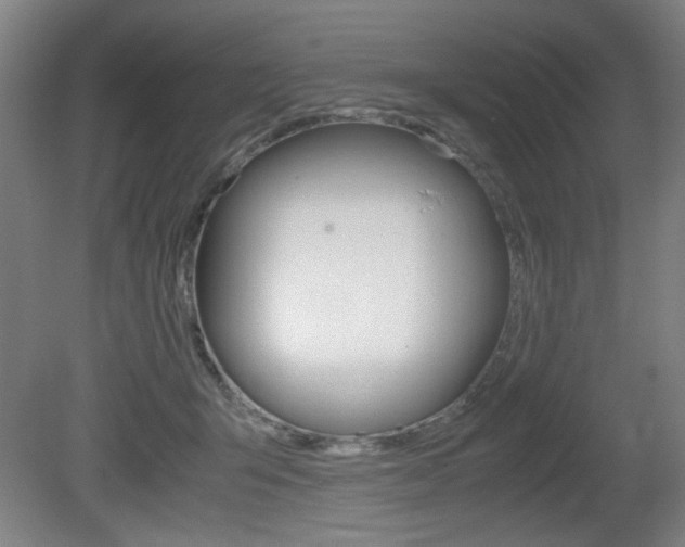 X0000080700415200612150842