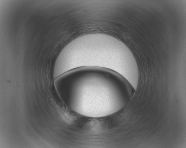 X0000080700416200612150842