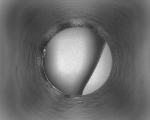 X0000080700417200612150842