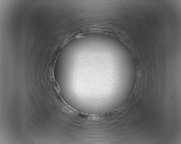 X0000080700419200612150842