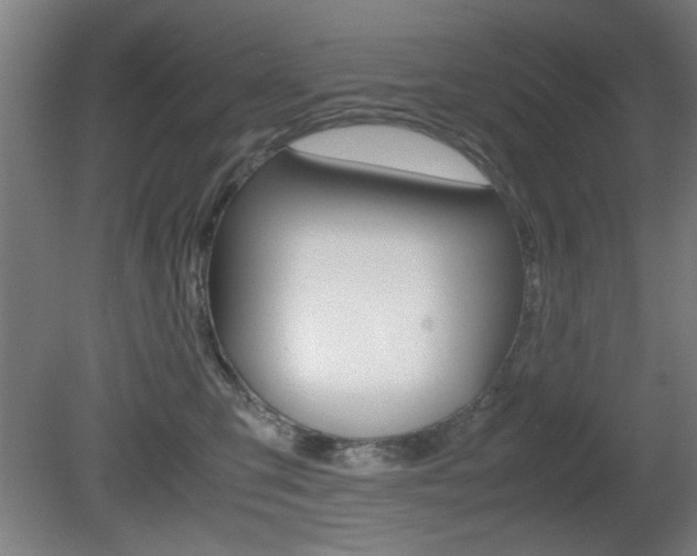 X0000080700423200612150841
