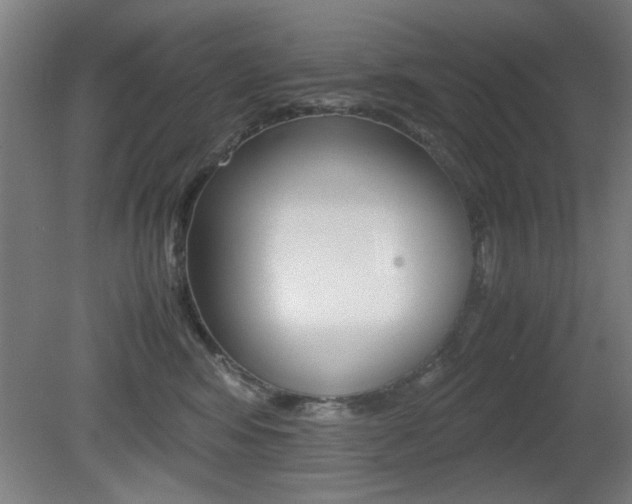 X0000080700424200612150841
