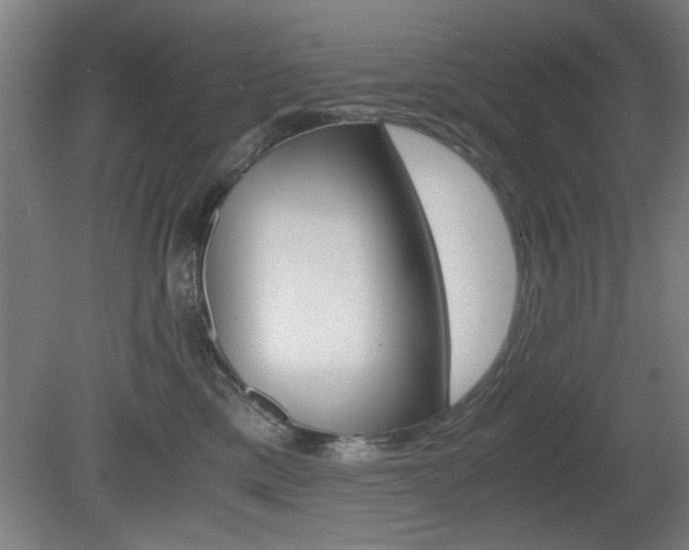 X0000080700425200612150841