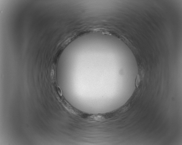 X0000080700427200612150841
