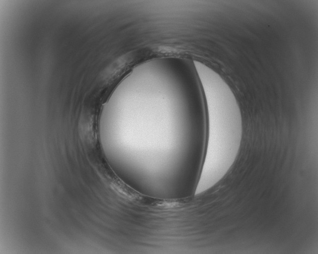 X0000080700428200612150841